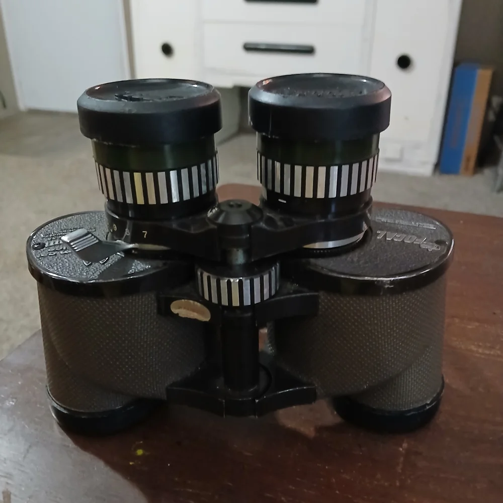 Vintage K Mart Binoculars - Compact Outdoor Optics